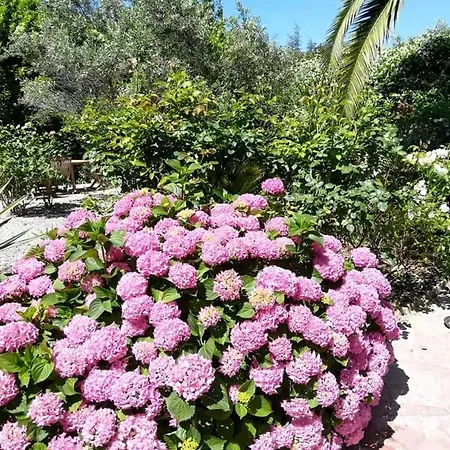 לינה וארוחת בוקר Angel - Caunes-Minervois