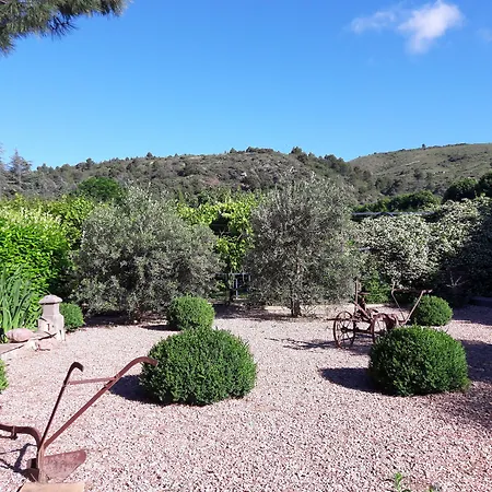 לינה וארוחת בוקר Angel - 4*