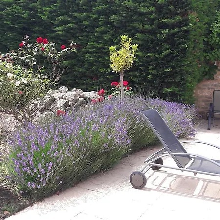 Angel - לינה וארוחת בוקר Caunes-Minervois