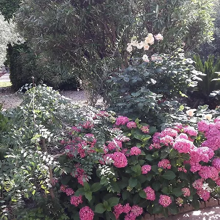 Couette-café Angel -