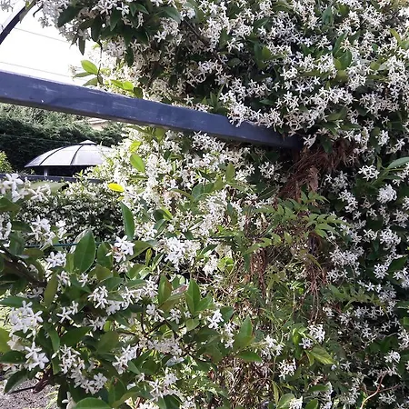 Couette-café Angel - 4*