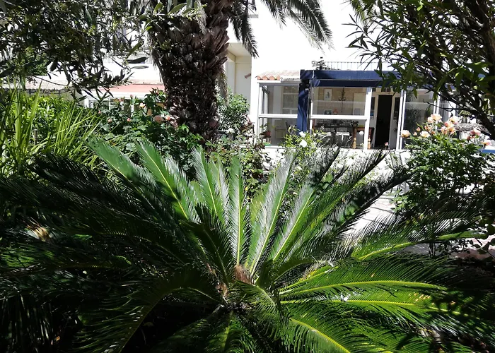 Angel - Caunes-Minervois